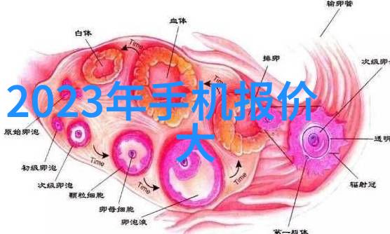 怎样评价南京信息职业技术学院对学生就业率的影响力