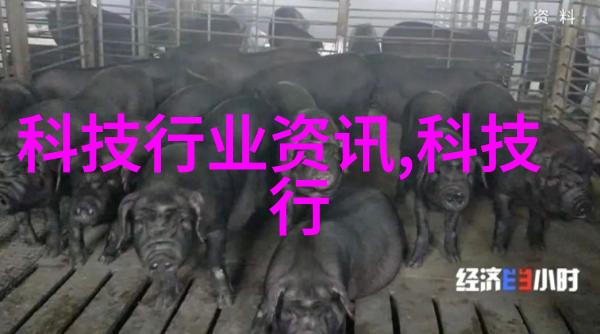 氢能新纪元加氢反应釜的内部世界探秘