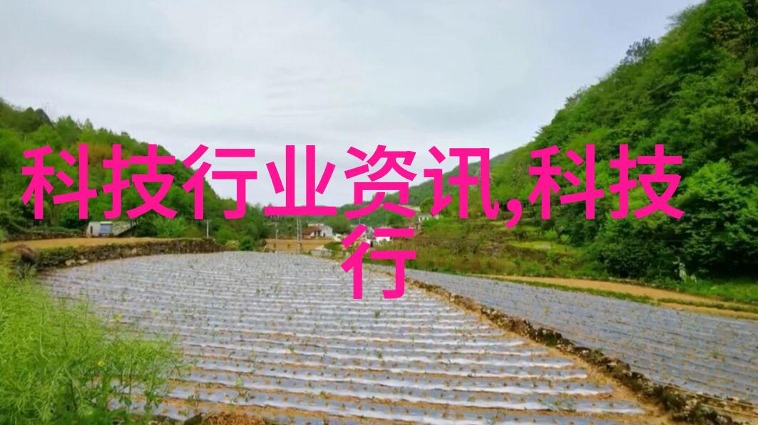 扒皮机我是如何被扒皮机骗得一大笔钱的