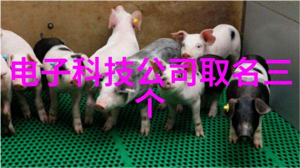 冷冻设备高效节能的食品保鲜机