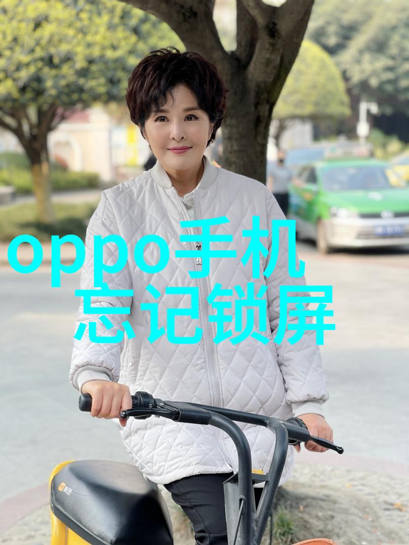 外墙砖 - 城堡的守护者探索外墙砖的艺术与实用