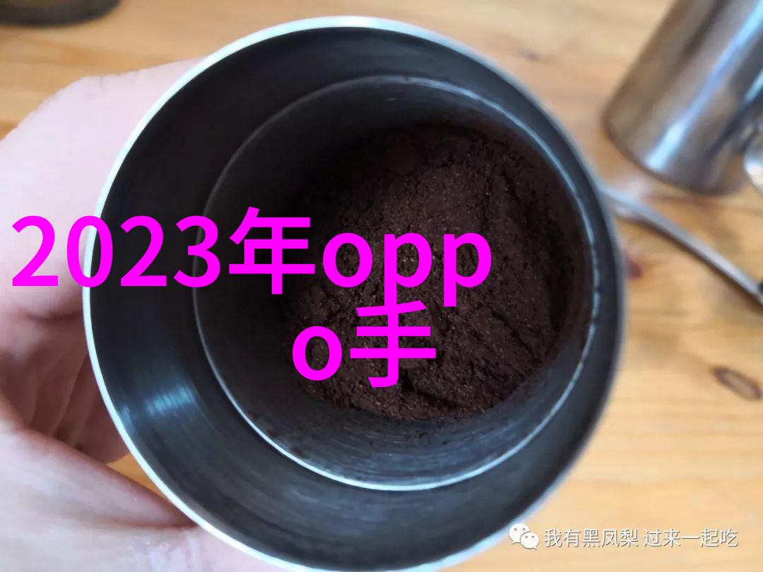 论点阐述与论据支持逻辑清晰有力回击