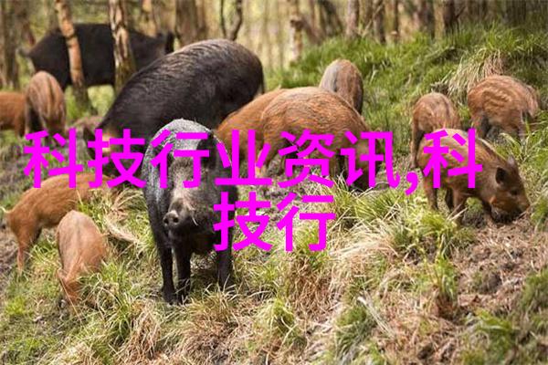 家居美学全解析客厅设计图效果图大师班