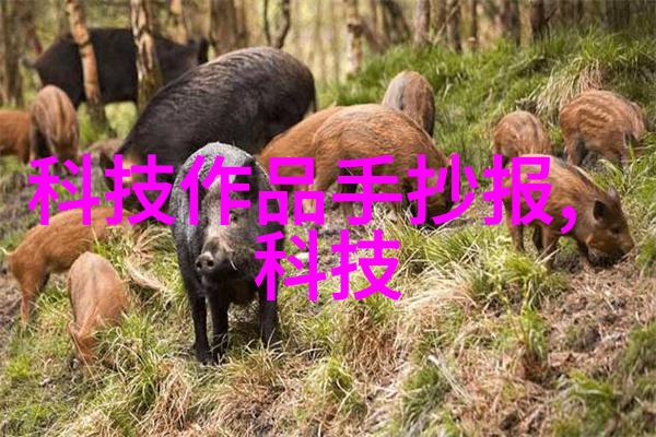 探秘魔兽新英雄背后的故事与技能