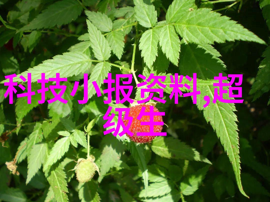流化床干燥技术解析揭秘原理与应用前景