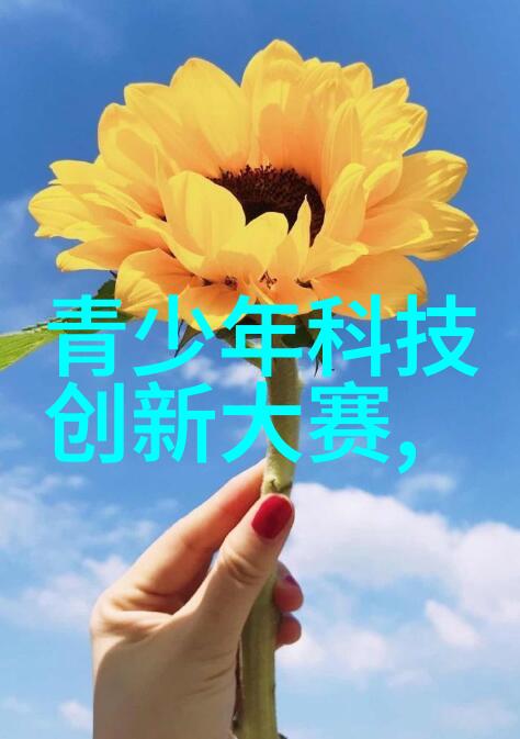 输送设备的安全性能如何保障
