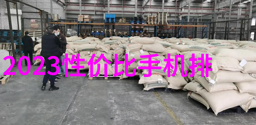 环填料之谜规整的面纱下隐藏着怎样的秘密