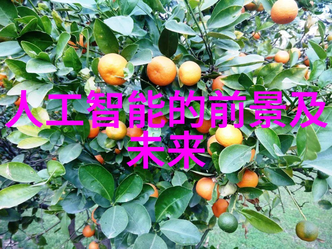 在财富的海洋中航行发掘未知的投资宝藏你准备好了吗