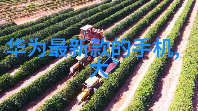 我是怎么看待目前中国芯片技术芯片大国我们走得那么快