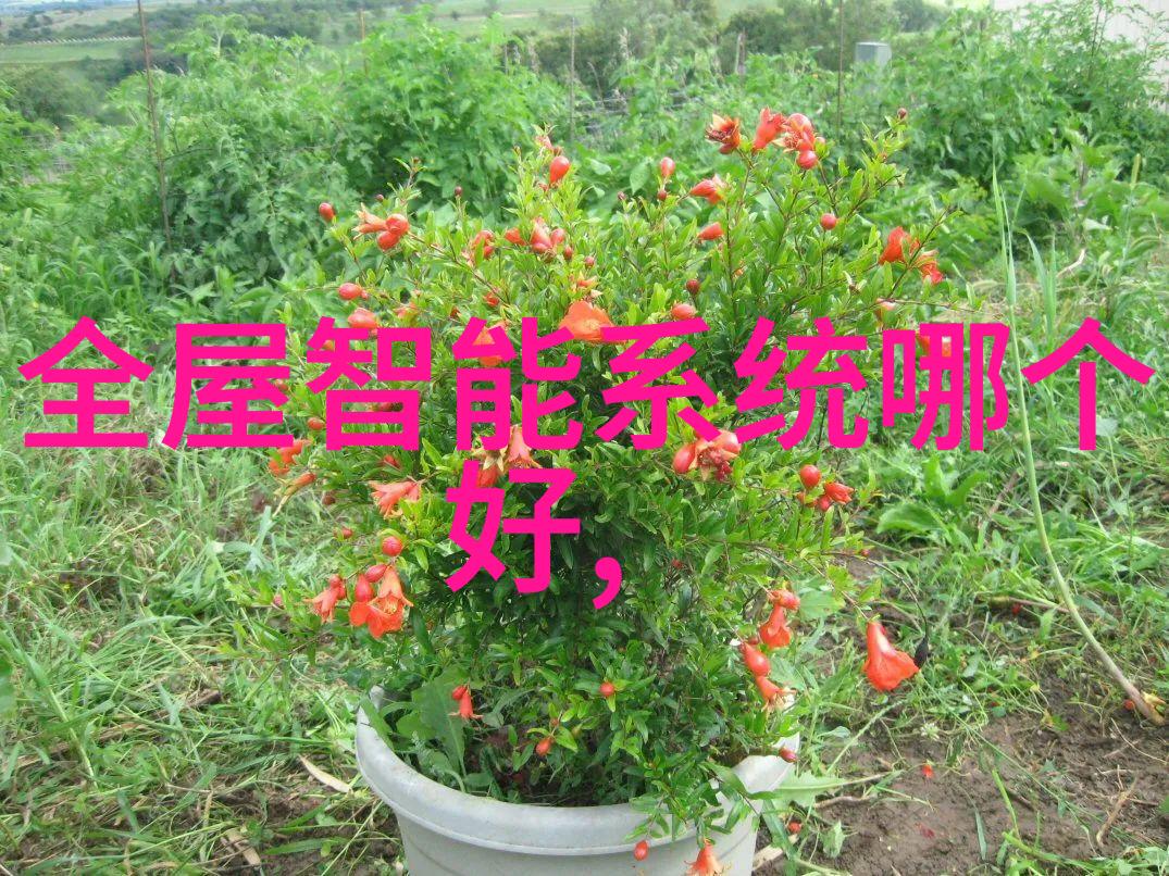 膜分离工艺包括水处理食品加工和生物医药领域的应用