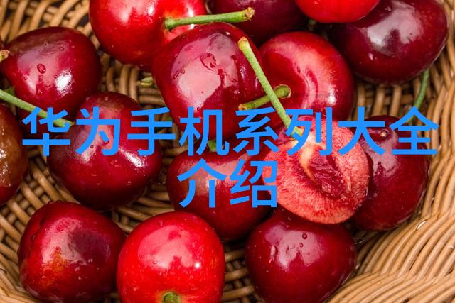 切制-探索食品切制的艺术与科学