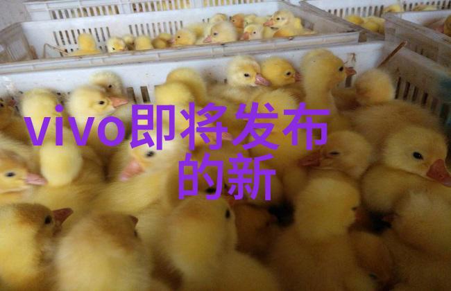 选完婚戒选家电 揭秘三万元如何选家电