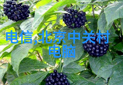 喷漆房通风排风设计-确保工地安全完善的喷漆房通风排风设计方案