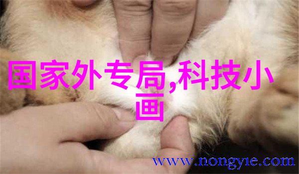 逆袭孕妇从恶毒女配到幸福母亲的奇迹