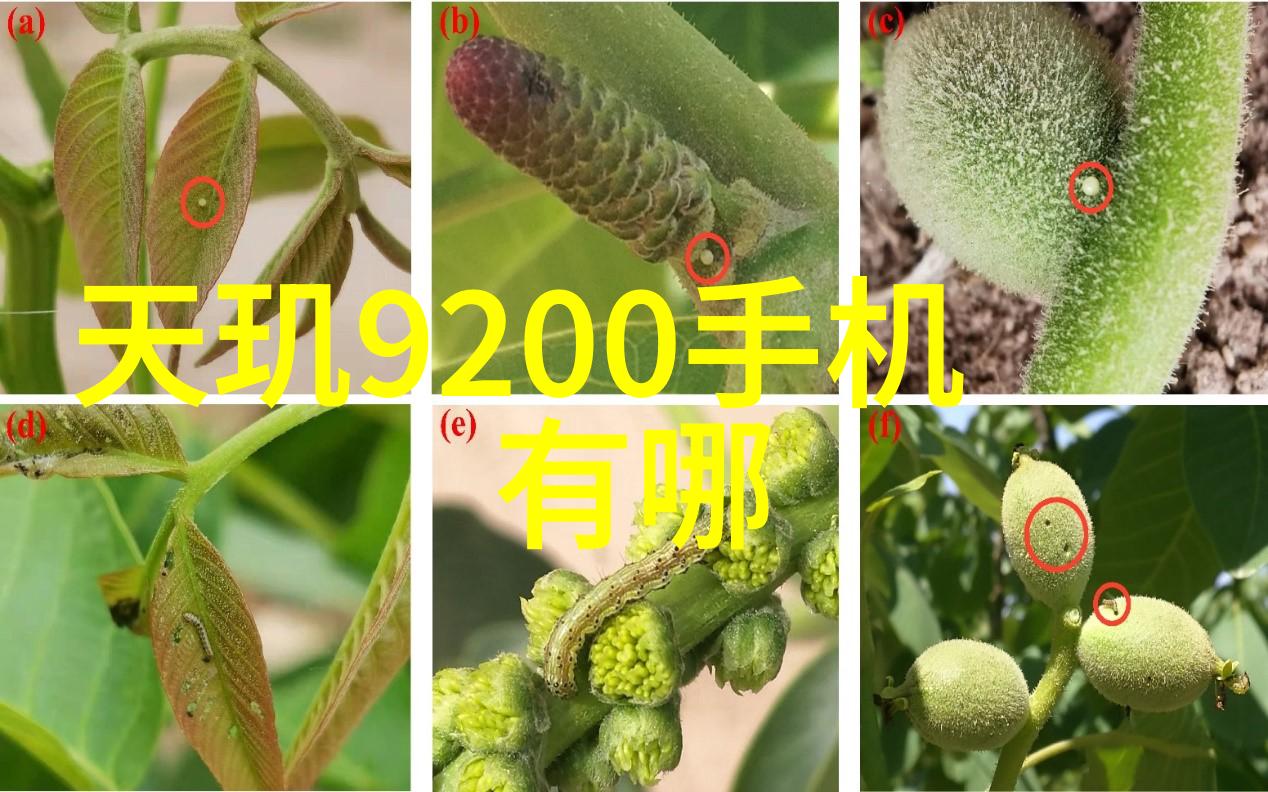 智能物流仓储-高效自动化未来仓库管理的新纪元