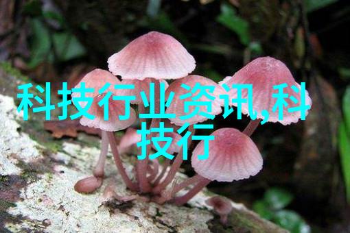 卧式压力蒸汽灭菌器使用方法我来告诉你怎么用它