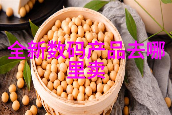 色夜阁简介探索古典中国文学中的爱情与人生哲理