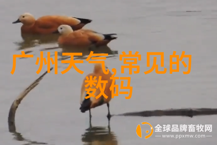 常州机电职业技术学院创新的技能培养中心