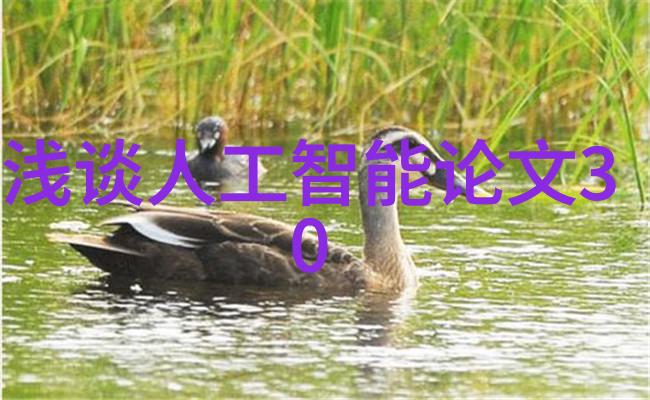 居民饮用水检测的去向揭秘安全源头