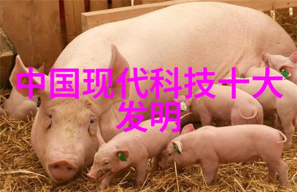 我应该关注的首要水质指标是什么
