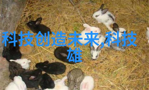 风力驱动的奇迹轴流泵的奥秘与应用