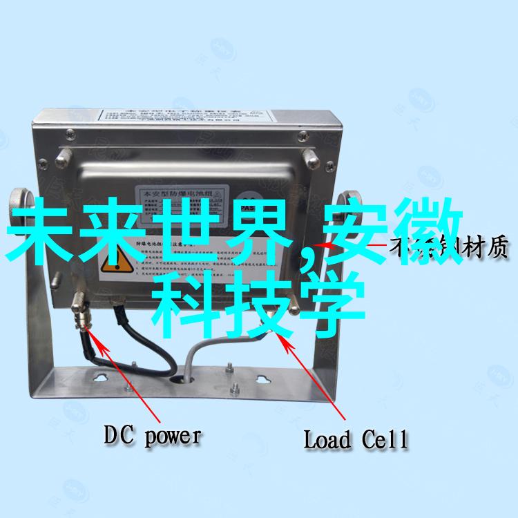 心之所向为她钟情的旅程