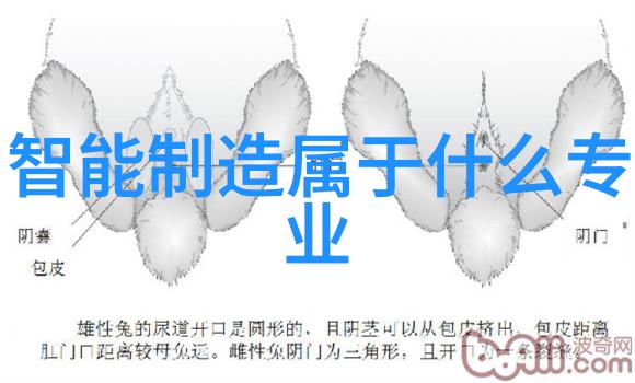 铸铁艺术的复兴传统工艺与现代设计的融合