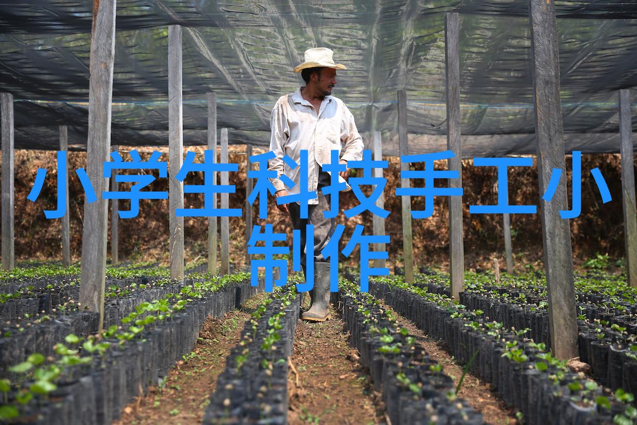 粉碎机械设备破碎力与精密技术的完美结合
