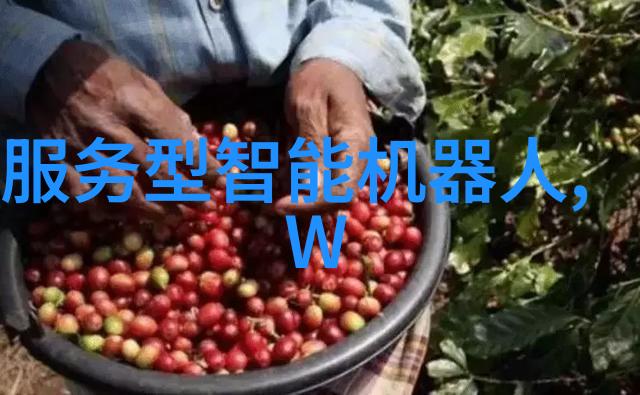 逆止器守护时空的终极防线