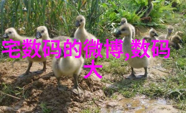 未来实验室自动化程度提高后实体技术将被替代吗