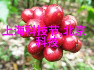 家居美化住宅装饰设计效果图