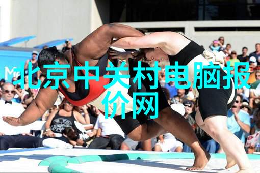 纯化水制备设备种类繁多RO反渗透系统UF超滤器电解质回流系统活性炭过滤装置