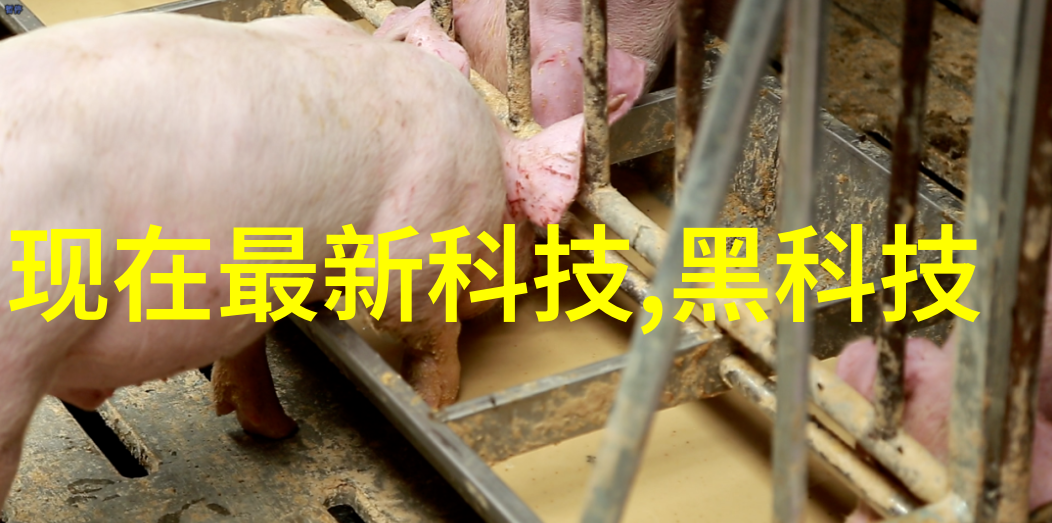 翩跹花蝴探索日本视频中的蝴蝶美学