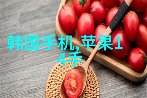 电加热蒸汽发生器高效能的蒸汽源供给系统