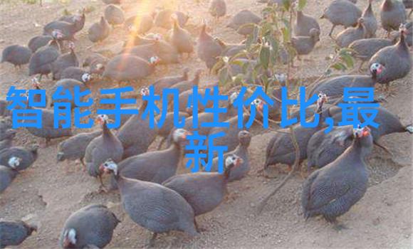 白桃松木(校园) 请你吃糖笔趣阁-甜蜜的邀约在校园里的糖果与故事