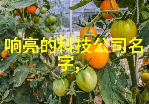 江苏巨能之谜碟式离心机的沉默守护者