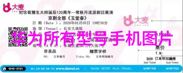 主题-www.se96se.com解密一个神秘的网址世界