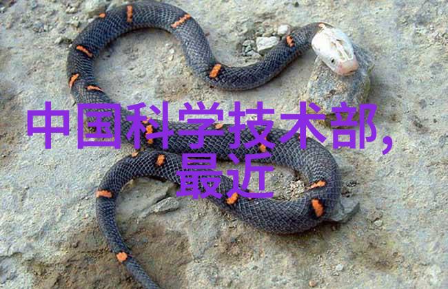 干燥过程中的物料输送系统设计