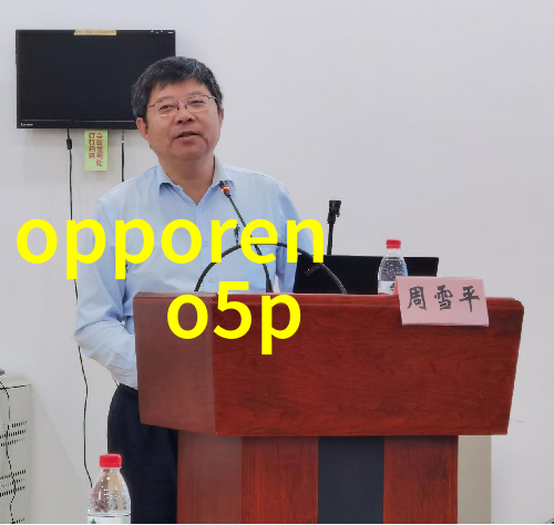 中国智能交通系统智慧出行自动驾驶汽车大数据交通管理