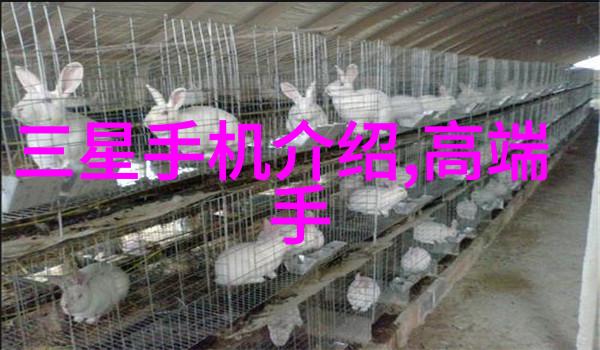 输送设备技术进步提升物料搬运效率与安全性