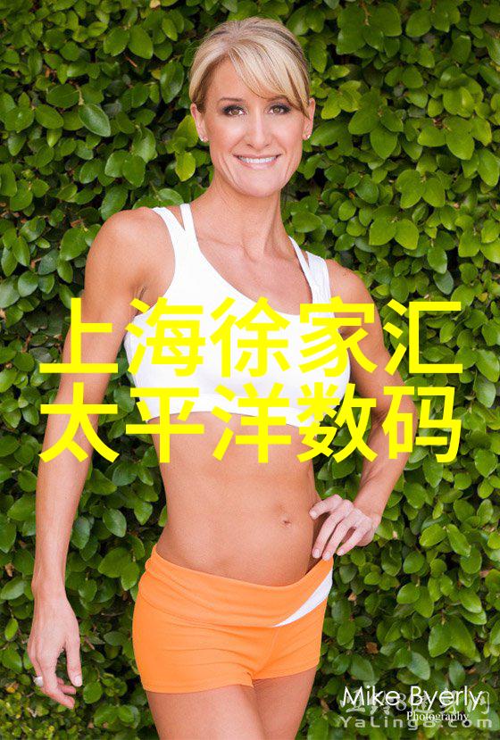 铜铝破碎分离机大师 - 全自动重量选别机供应商精准筛选新篇章