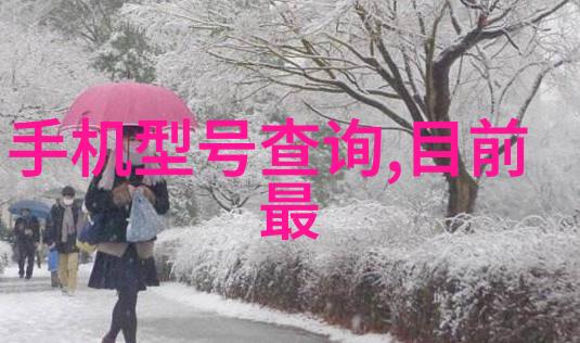 水产养殖测水质仪器确保鱼类健康的环境监测新工具