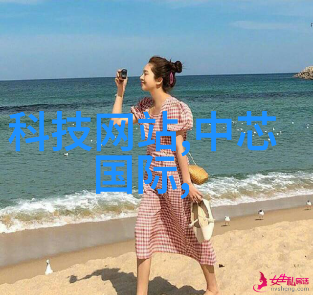 带式干燥机高效节能的物料处理设备
