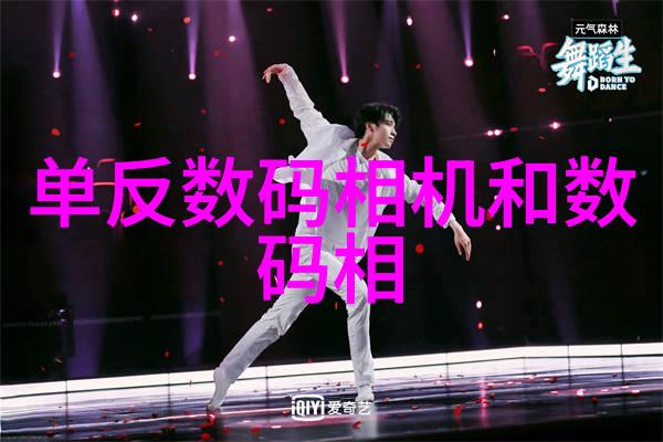 山东财经大学燕山学院-探索青春梦想山东财经大学燕山学院的成长与发展