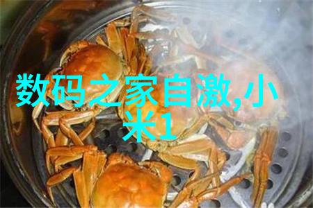 蒸汽之舞板式蒸发器的艺术与科技