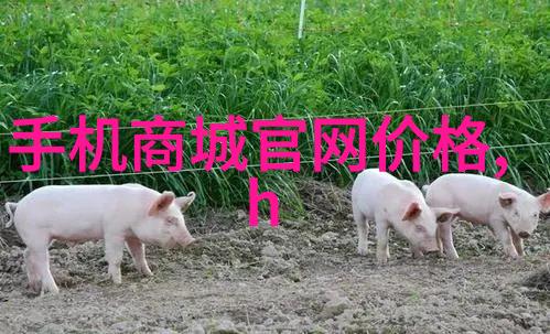 办公室保洁打造清新工作环境的不懈追求