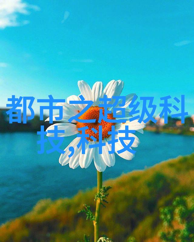 除尘骨架清洁的艺术与科技的交汇