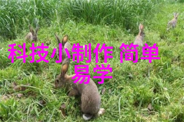 清洁不仅仅是看脸深度解析不同品牌的过氧化氢消毒机性能