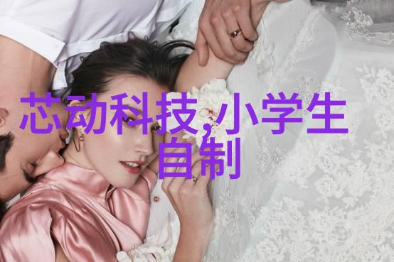 实验室仪器设备清单编制与管理确保科学研究的准确性与效率
