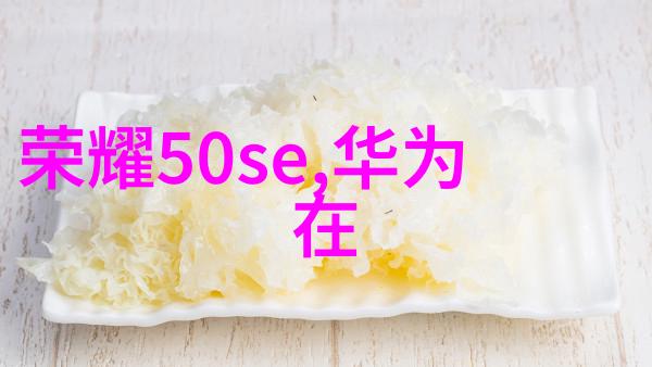 蜗居-智能小户型蜗居电子书中的创意装修指南